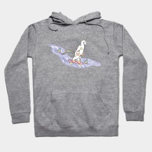 Weird Unicorn Cat skateboarding throughout the universe Hoodie